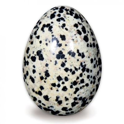 Jasper Dalmatian Egg